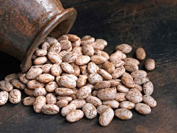 Pinto Beans 50lbs